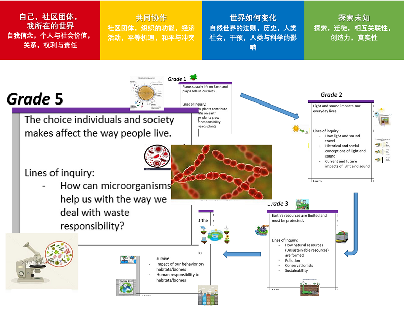 北京德闳跨学科主题