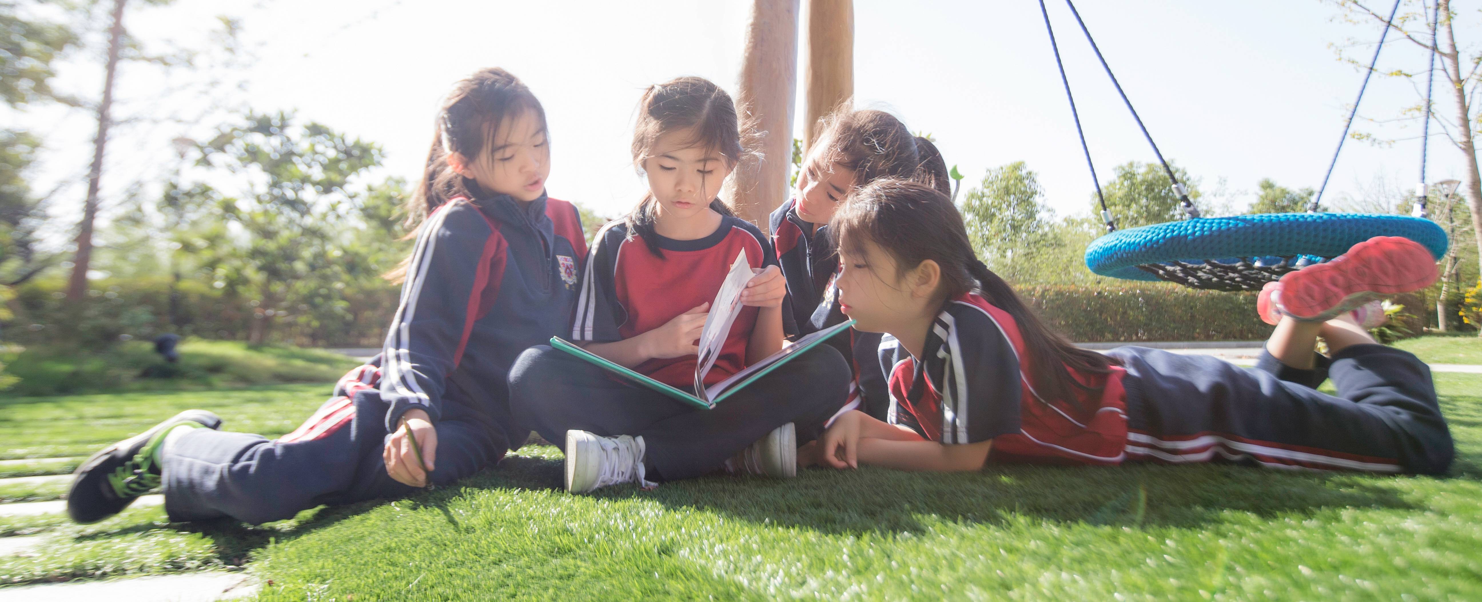 Elementary School image