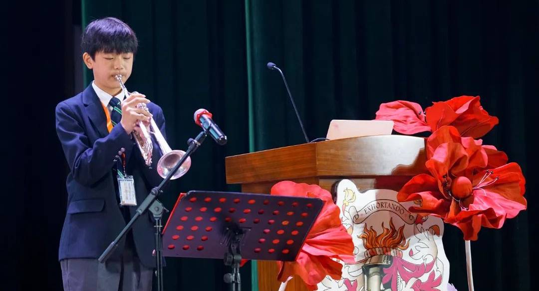 荣军纪念日:新视角反思战争