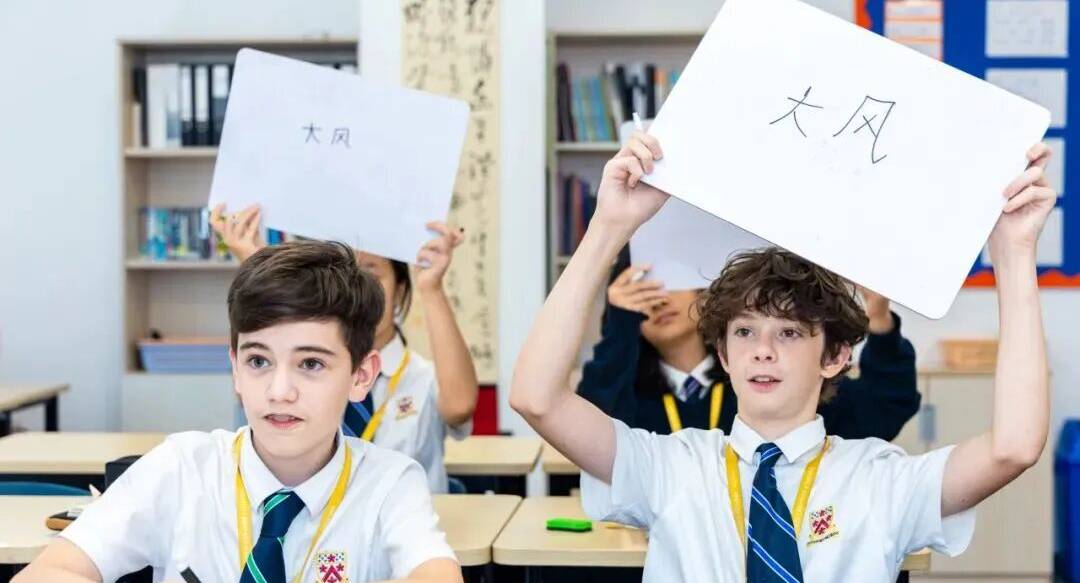 Unlock Global Potential: DCl's Chinese for Bilingual Brilliance&Cultural Insight