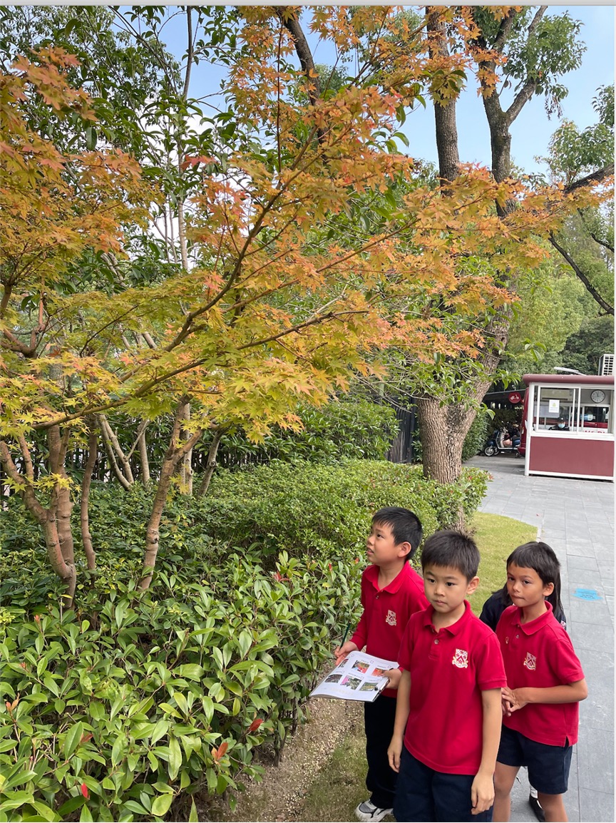 参与探究单元“生命周期”项目的幼儿园小朋友正在主校区学习探索