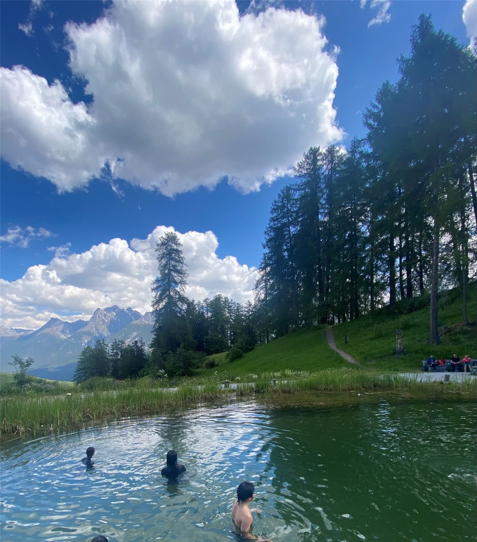 A weekend swim in the pond next to the school