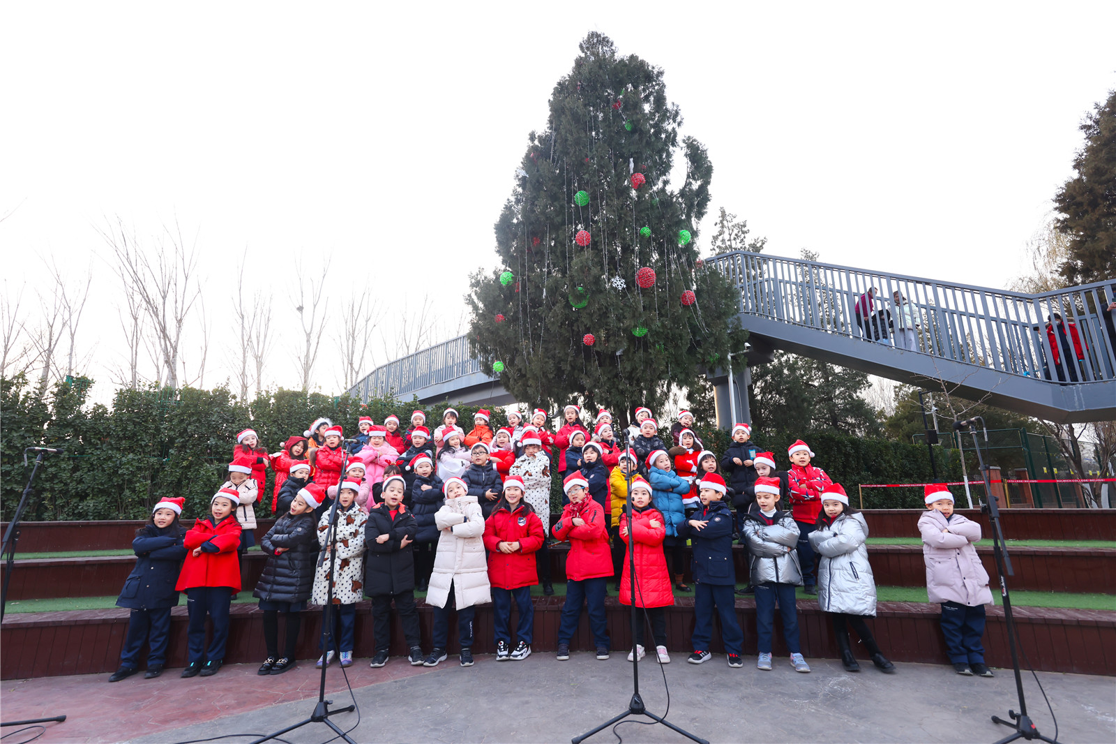 DCB Christmas Tree Lighting Ceremony
