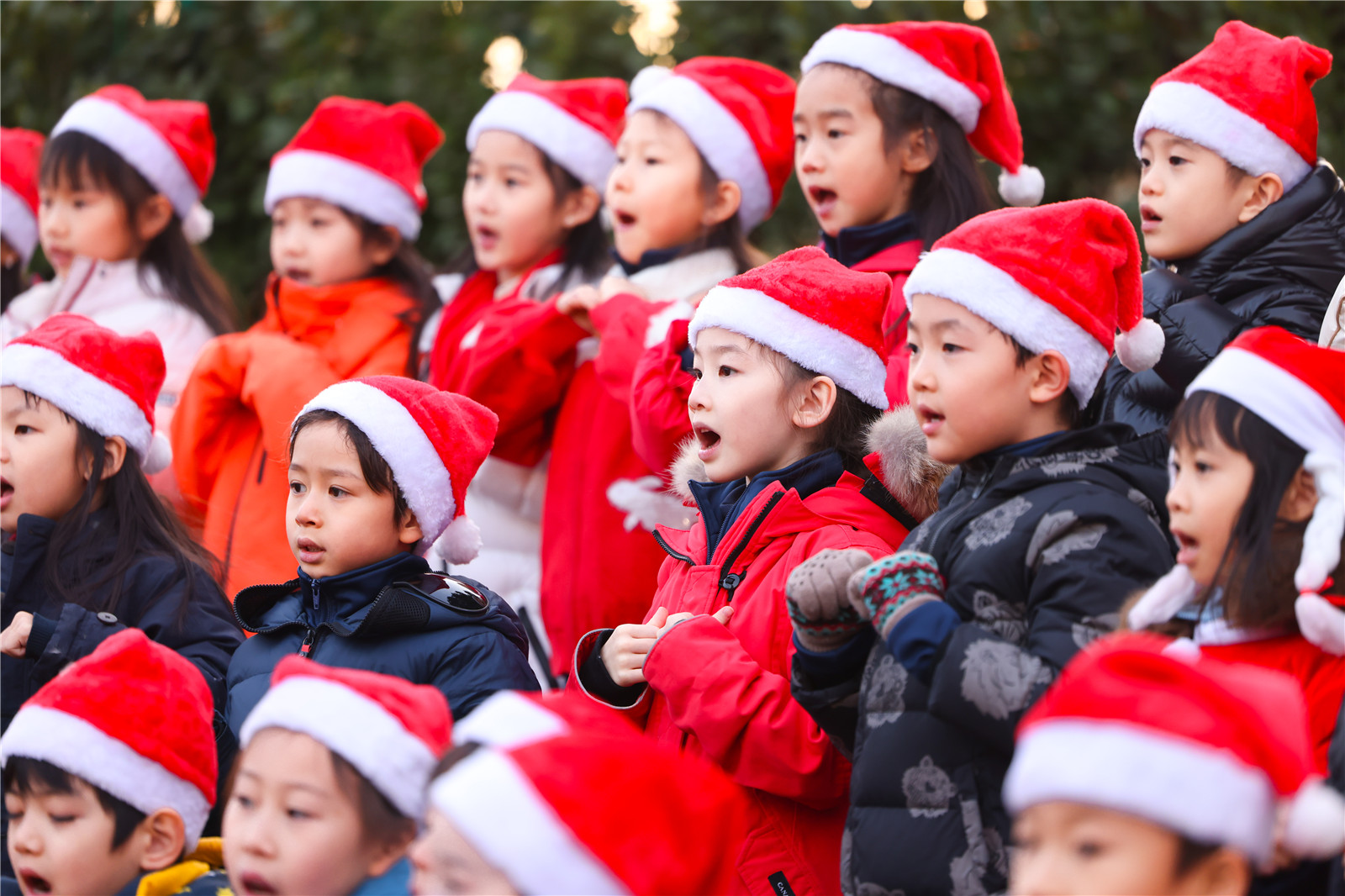 DCB Christmas Tree Lighting Ceremony