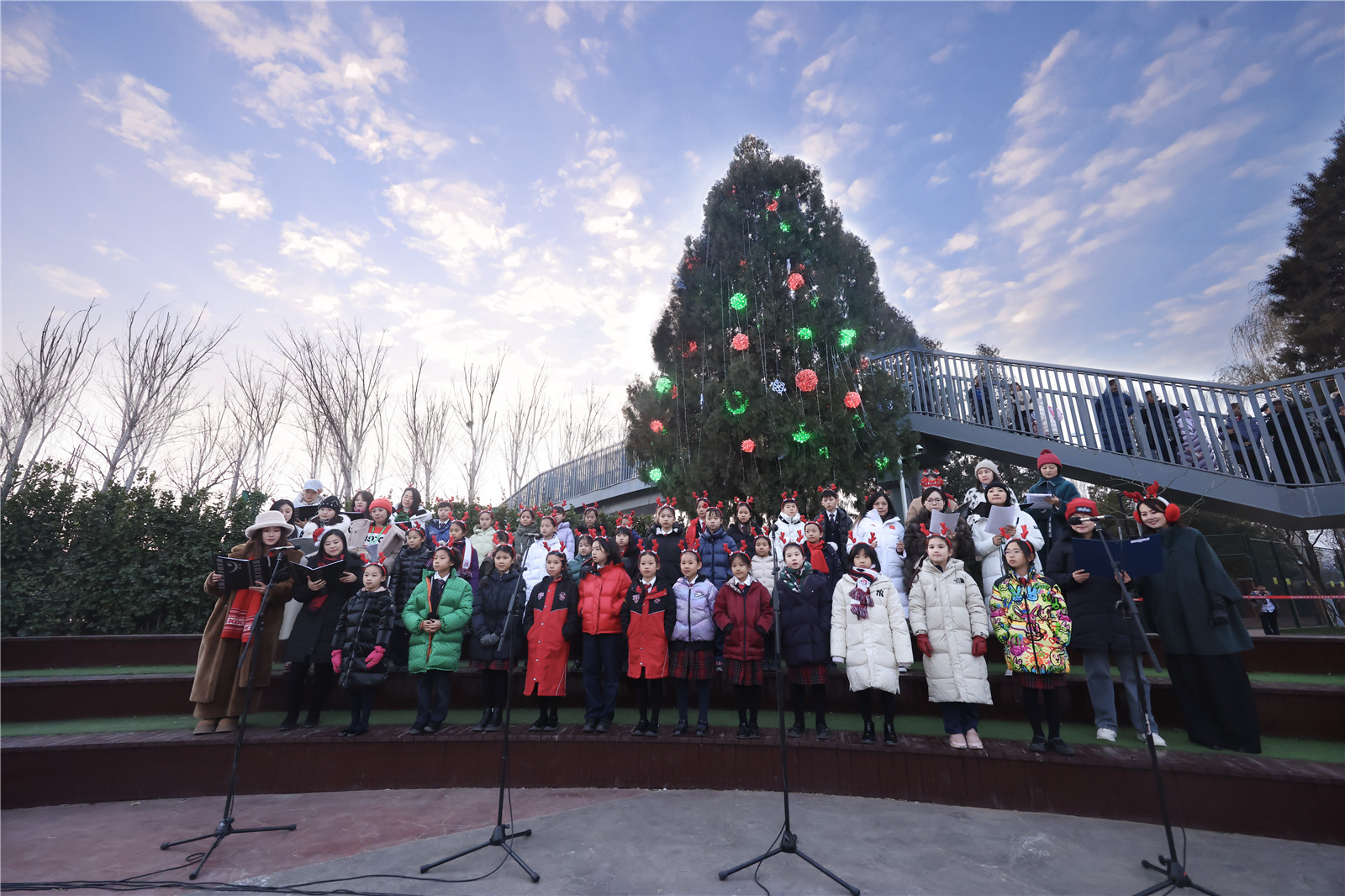 DCB Christmas Tree Lighting Ceremony