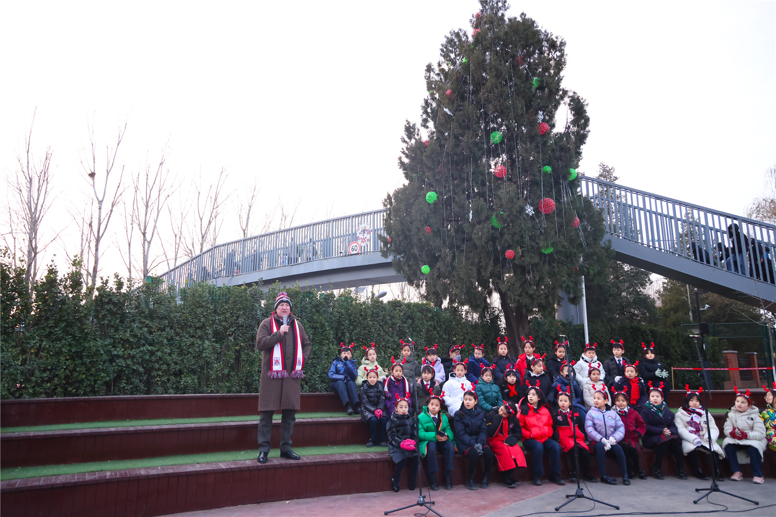 DCB Christmas Tree Lighting Ceremony
