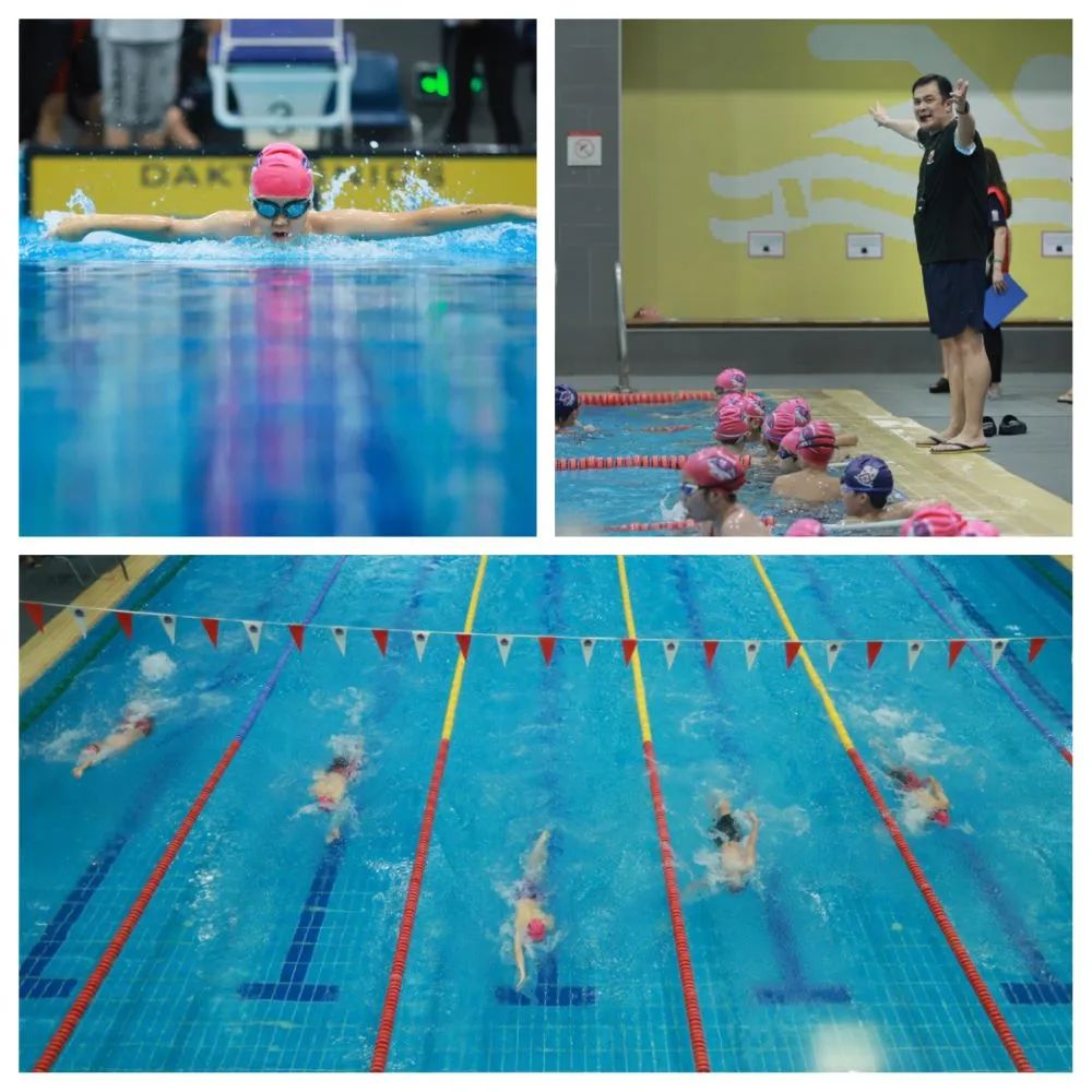 游泳健将AquaPanthers