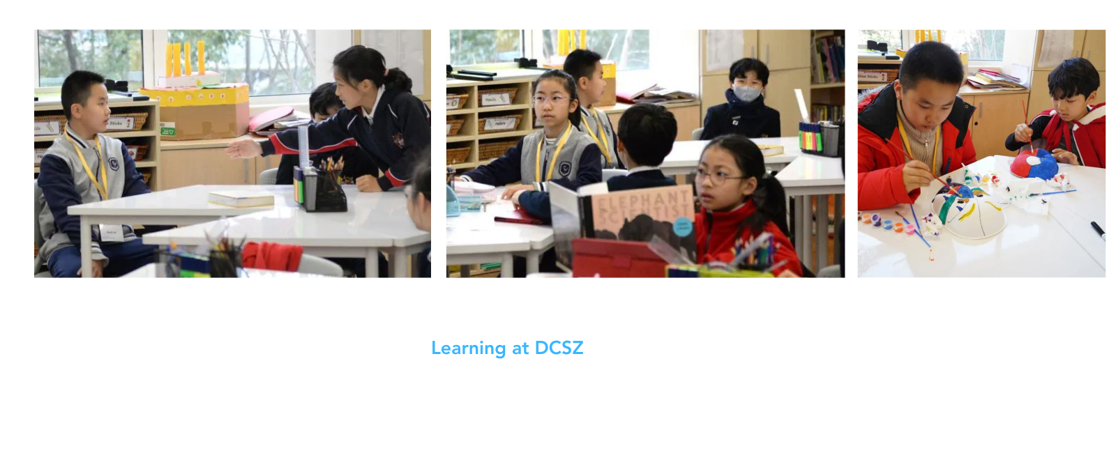 在苏州德威的学习经历