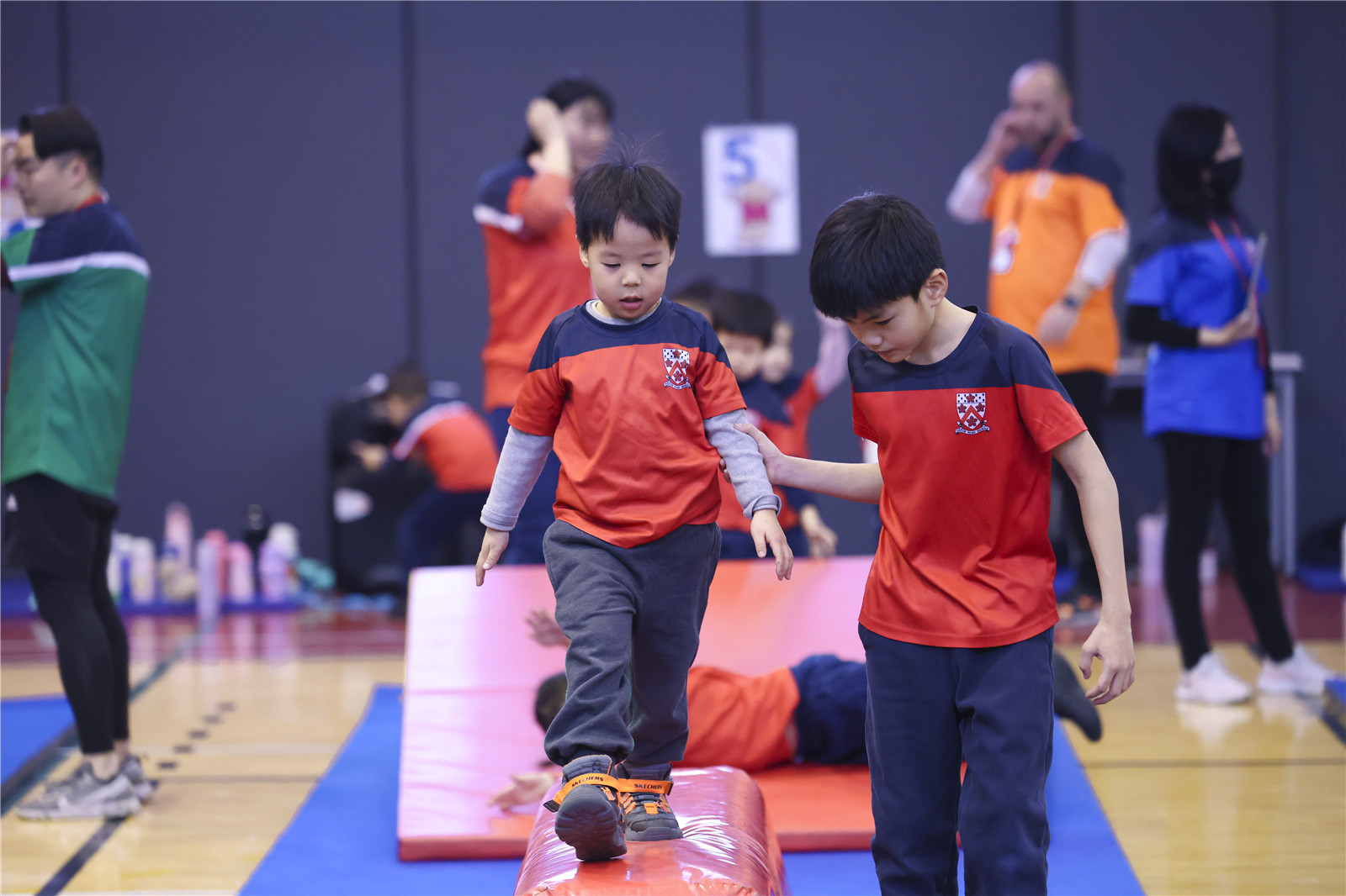 泰迪熊运动会2024