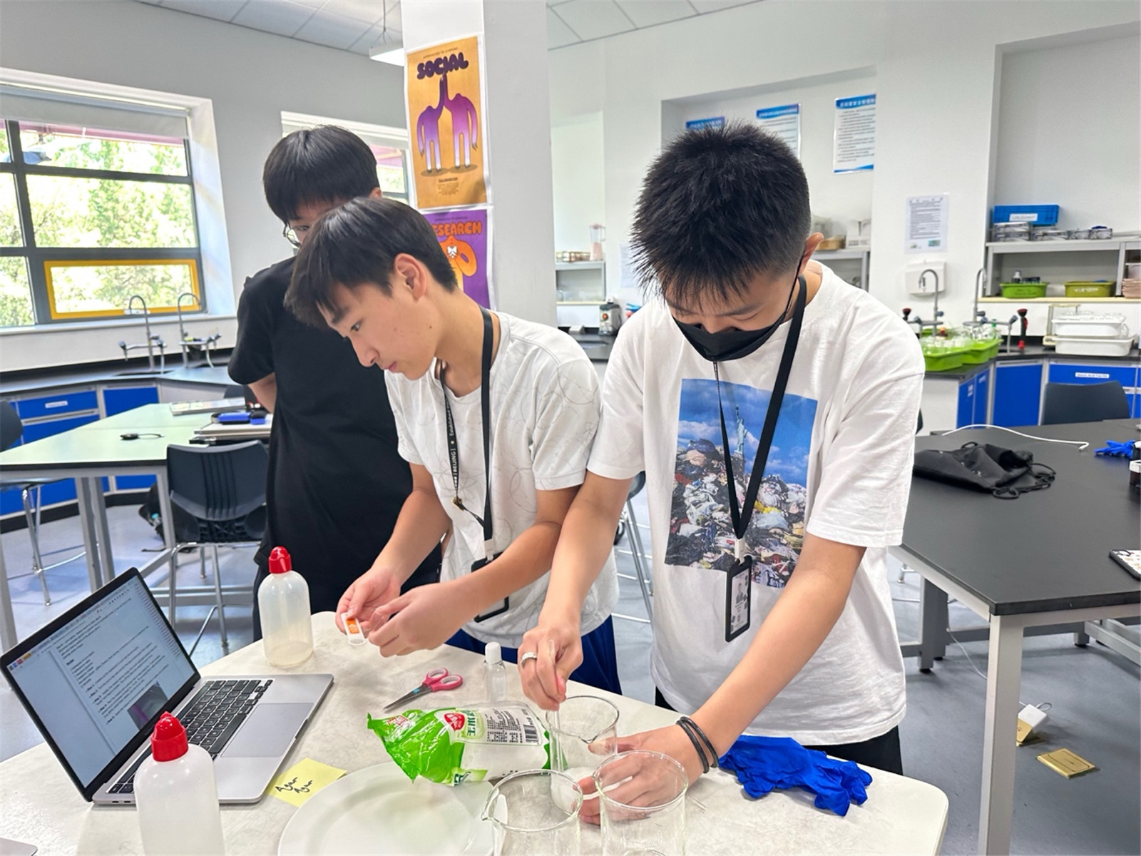 IB CAS 周（第四学科组科学探究项目）