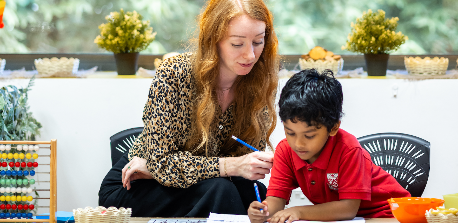 我希望通过鼓励更多人使用电动车，并在学校里捡拾垃圾，来为保护环境贡献自己的一份力量。