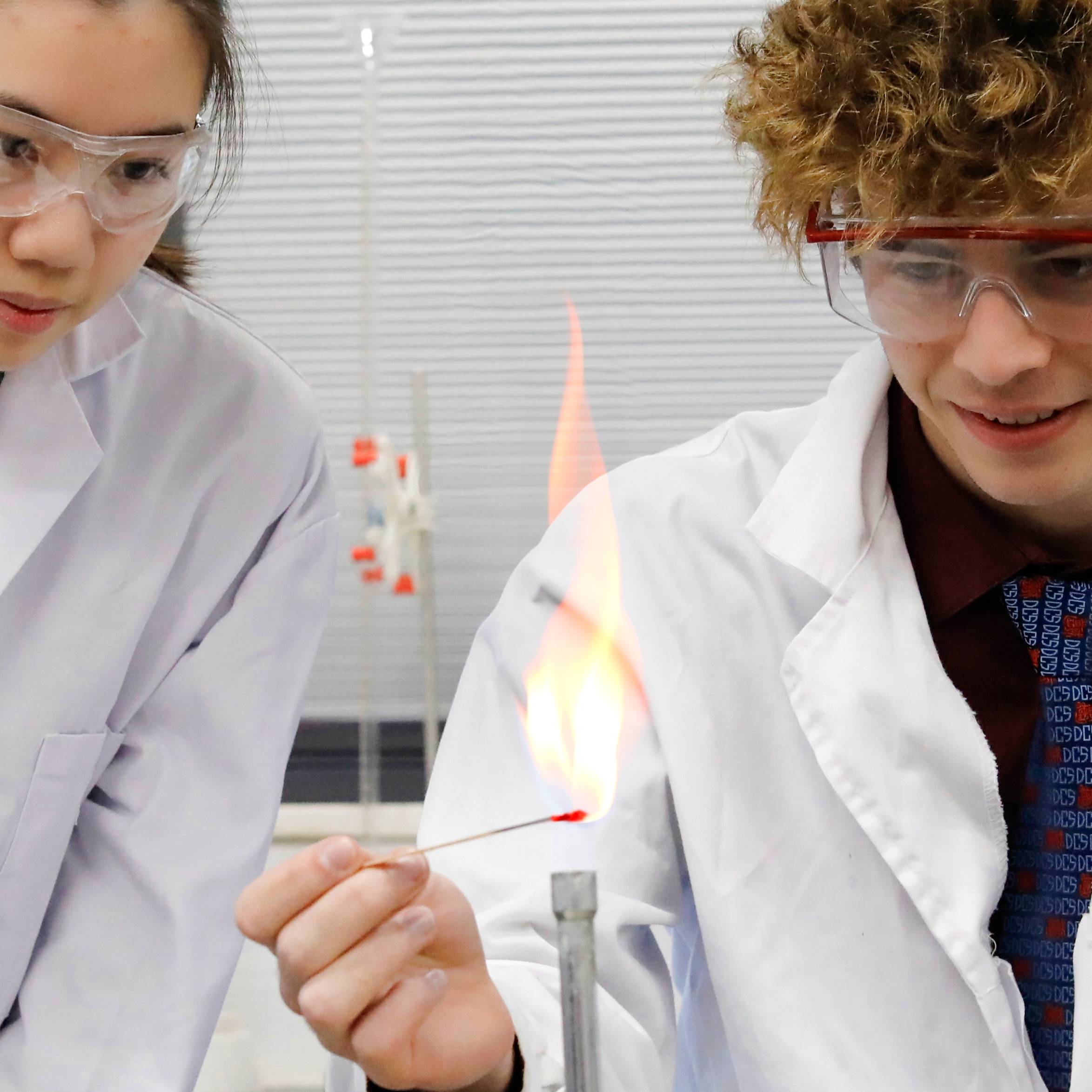 I wish I could be working in the science lab every day!