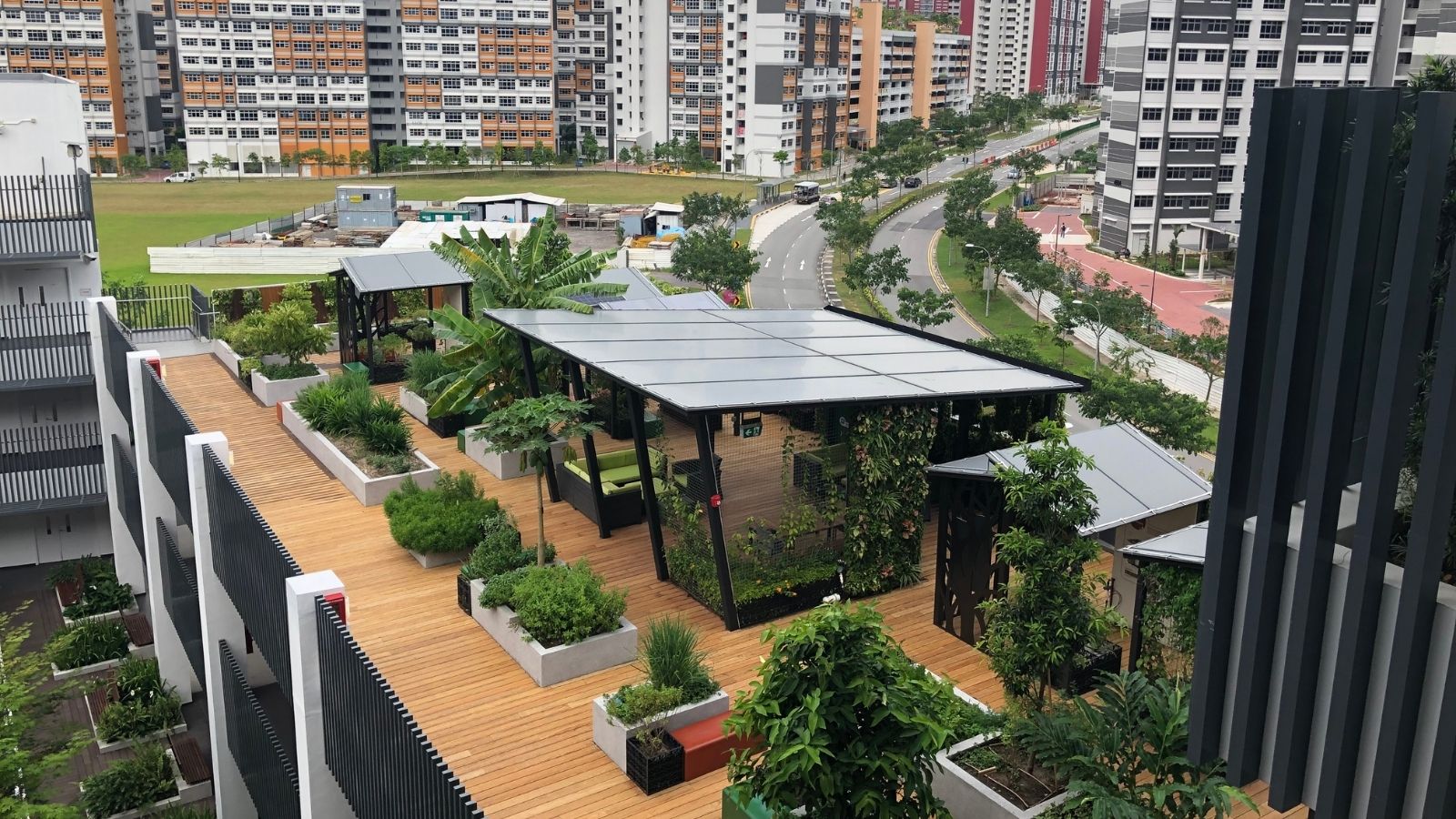 Roof garden at Dulwich College (Singapore)