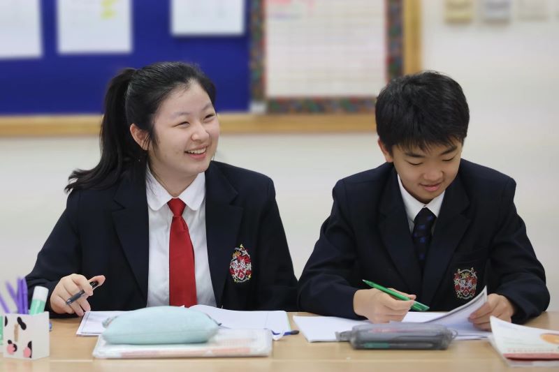 Middle school pedagogy