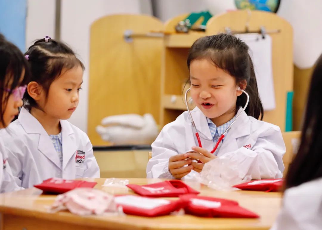 Little Medical School