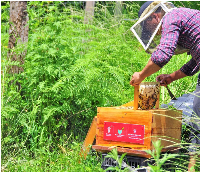 DCSPX and Elevated Honey Co