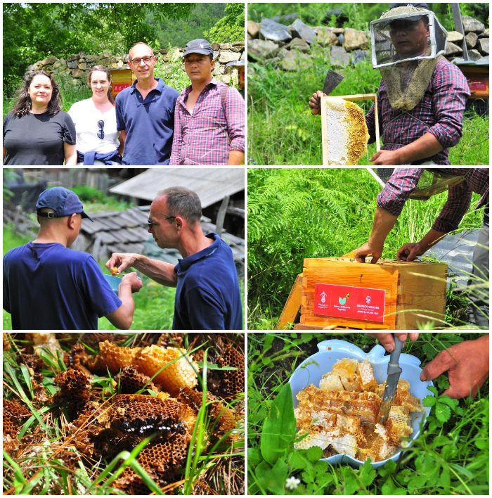 DCSPX and Elevated Honey Co