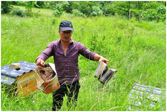 DCSPX and Elevated Honey Co