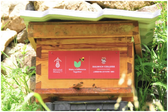 DCSPX and Elevated Honey Co