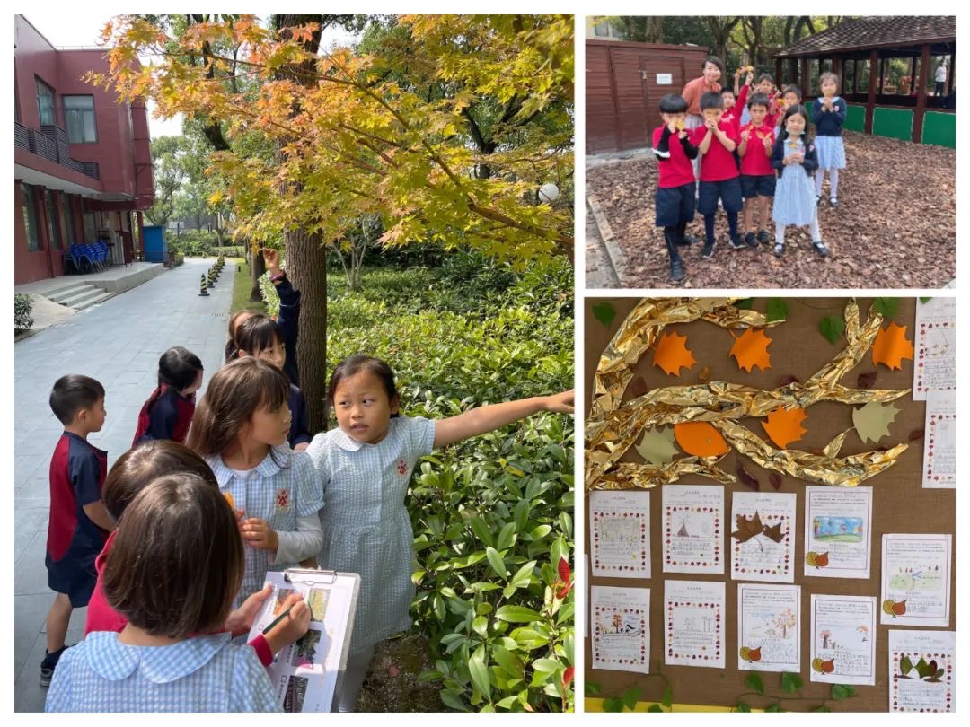 《秋天》课文学习