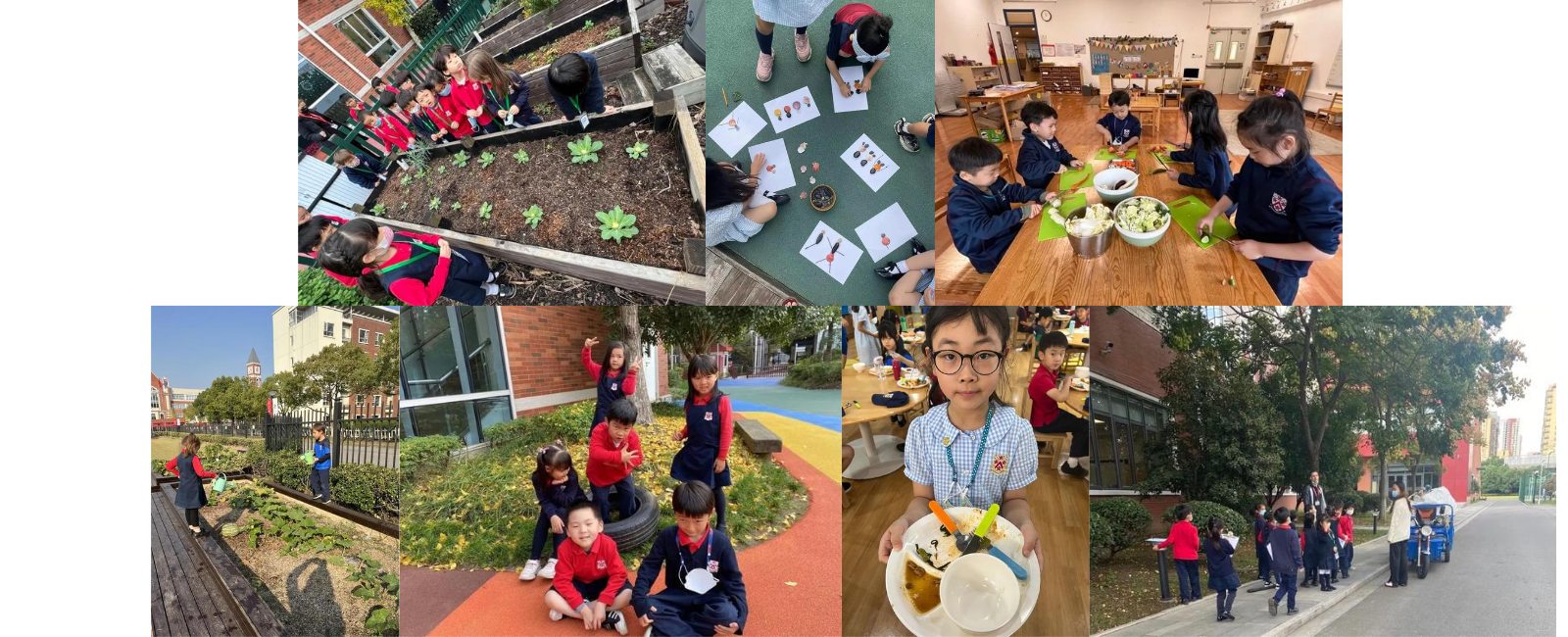 DUCKS No Carbon Actions