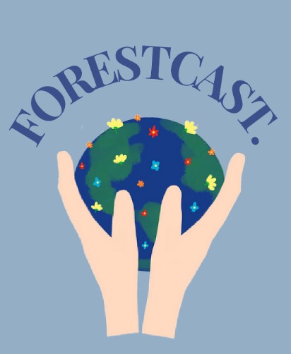 DCB magazine Forecast