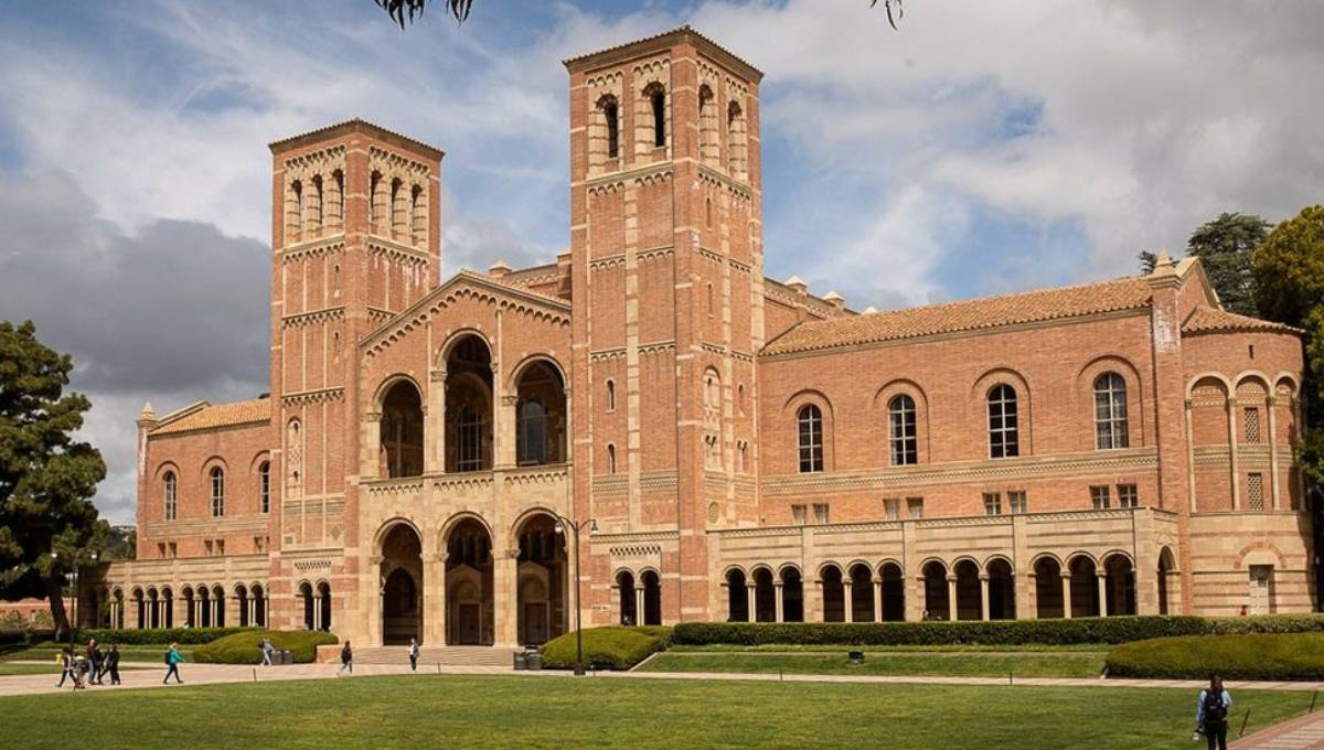 UCLA录取