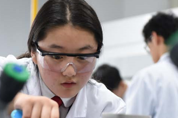 Chemistry A-Level Option