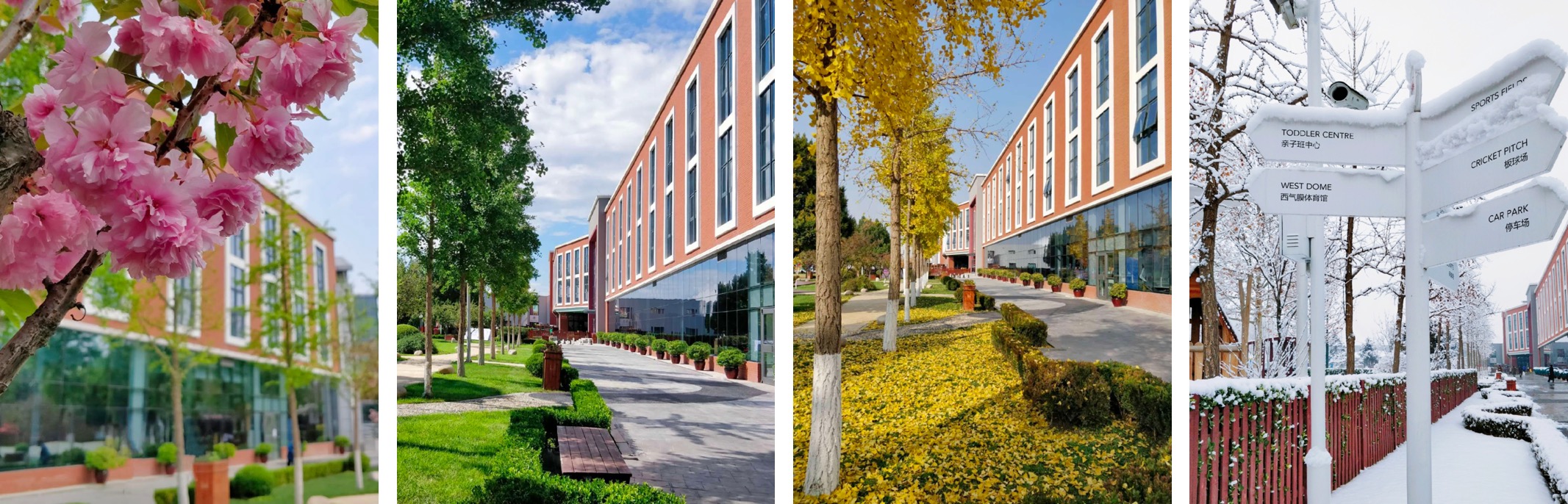 Four seasons at DCB