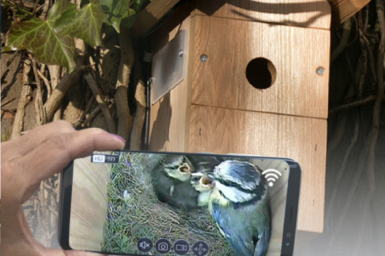 BirdCams