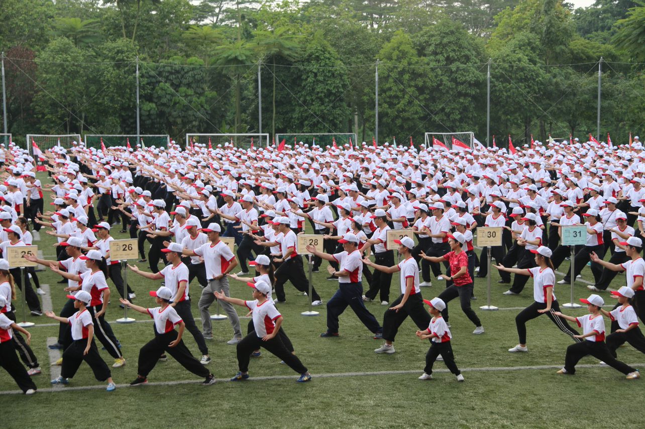 tai chi fiesta singapore participants