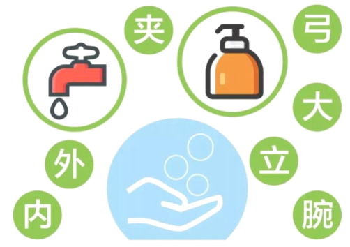 如何正确洗手？